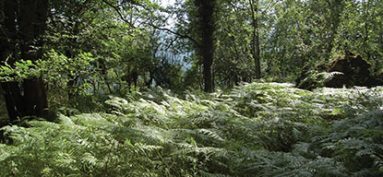 Balade pédestre le 23 juillet