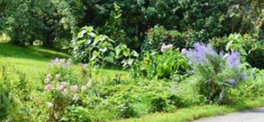 Concours des jardins fleuris de Saurat