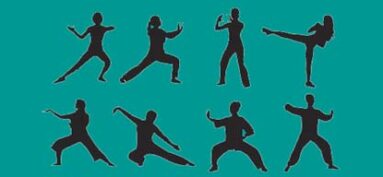 Stage de Tai Chi Chuan